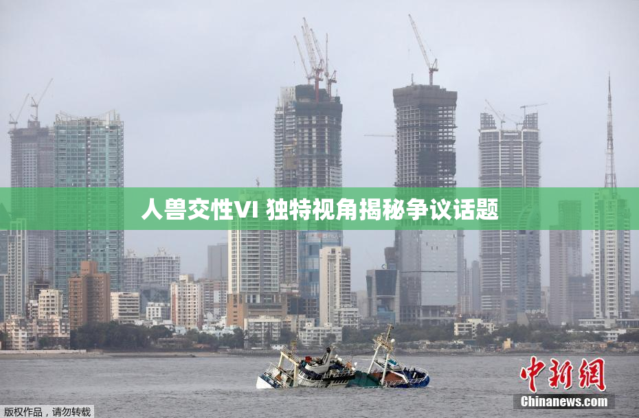 人兽交性VI 独特视角揭秘争议话题