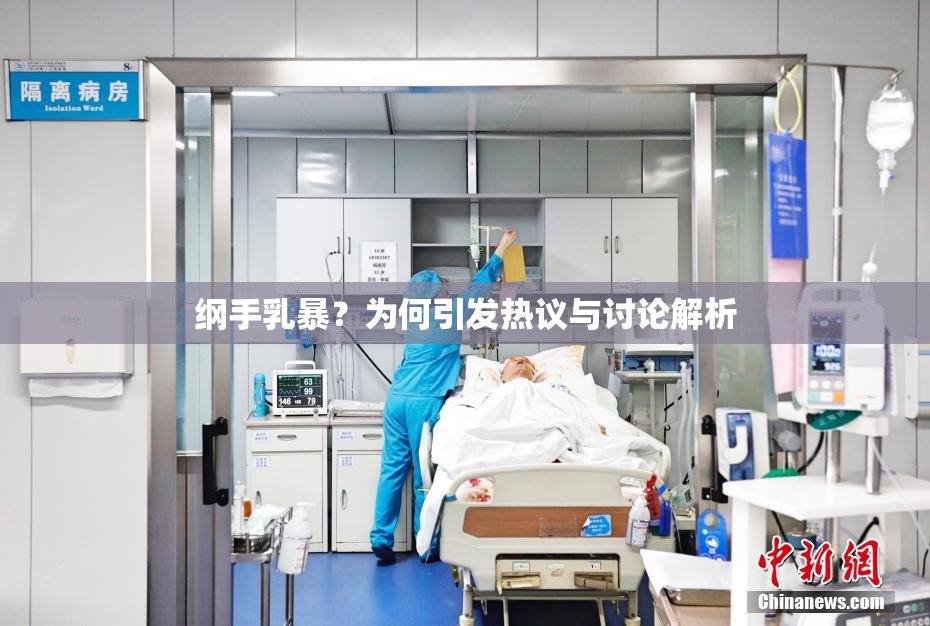 纲手乳暴？为何引发热议与讨论解析