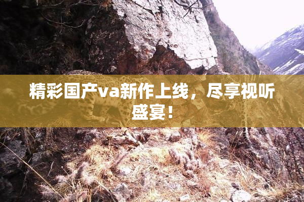 精彩国产va新作上线，尽享视听盛宴！