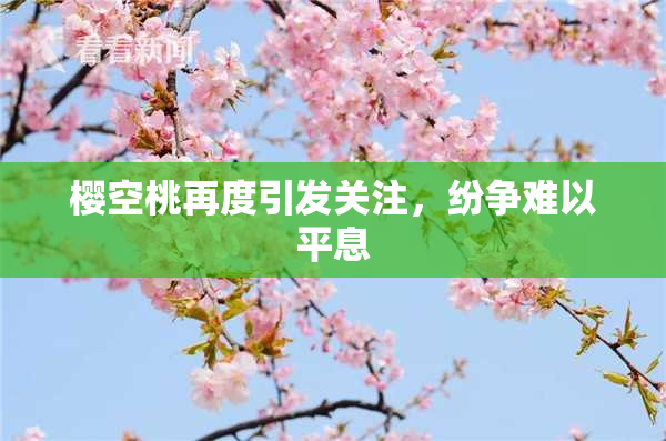 樱空桃再度引发关注，纷争难以平息