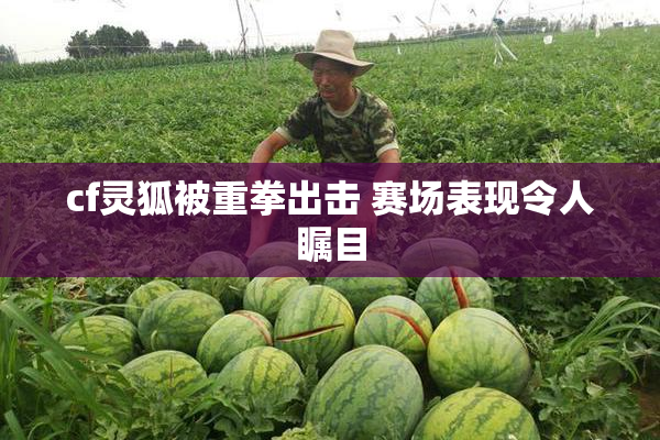 cf灵狐被重拳出击 赛场表现令人瞩目