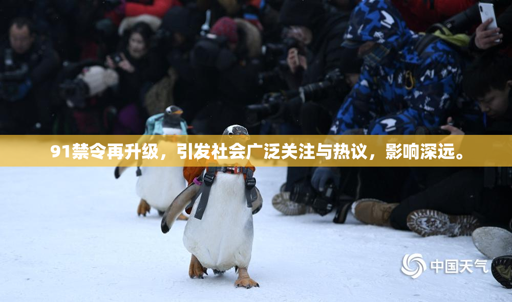 91禁令再升级，引发社会广泛关注与热议，影响深远。
