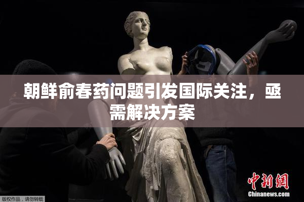 朝鲜俞春药问题引发国际关注，亟需解决方案