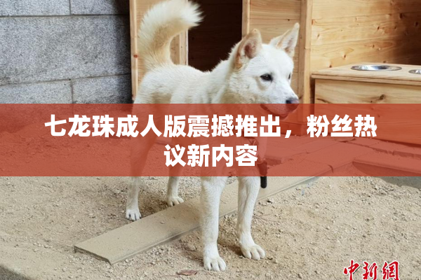 七龙珠成人版震撼推出，粉丝热议新内容