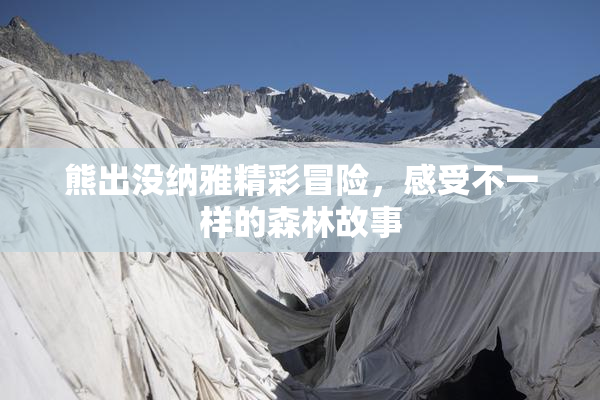 熊出没纳雅精彩冒险，感受不一样的森林故事