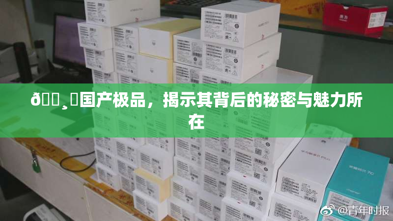 🌸‌国产极品，揭示其背后的秘密与魅力所在