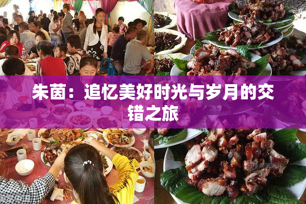朱茵：追忆美好时光与岁月的交错之旅