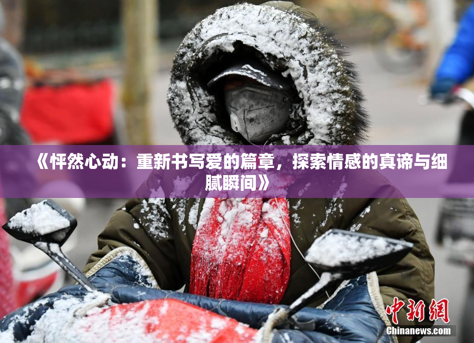 《怦然心动：重新书写爱的篇章，探索情感的真谛与细腻瞬间》
