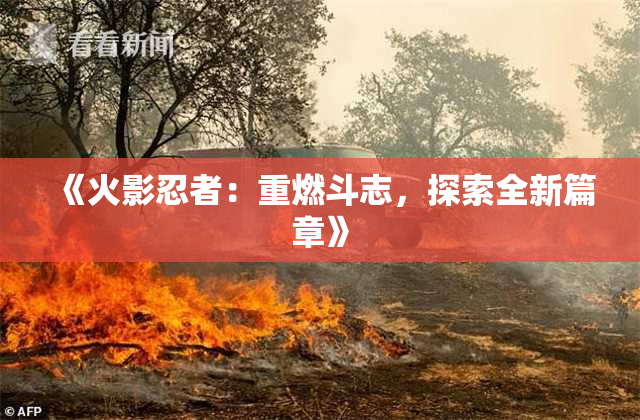 《火影忍者：重燃斗志，探索全新篇章》