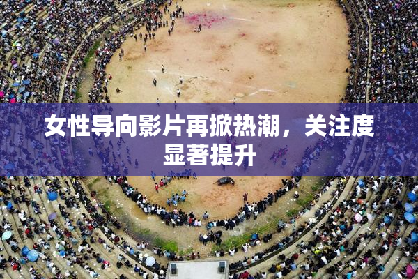 女性导向影片再掀热潮，关注度显著提升