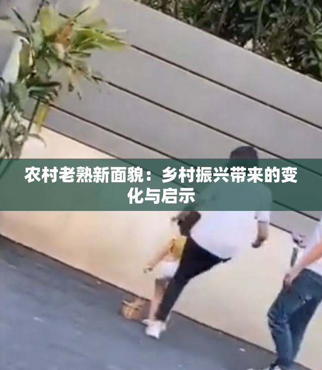 农村老熟新面貌：乡村振兴带来的变化与启示