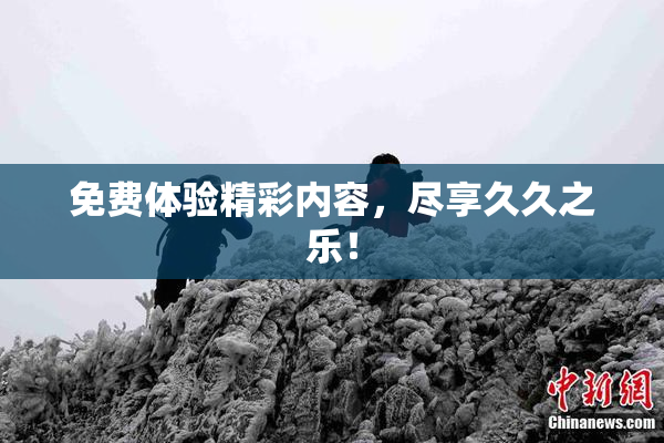 免费体验精彩内容，尽享久久之乐！