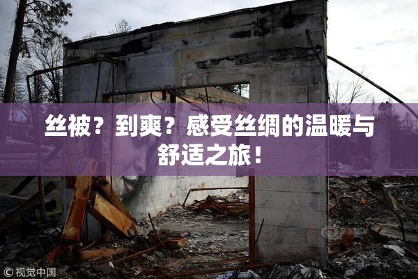 丝被？到爽？感受丝绸的温暖与舒适之旅！