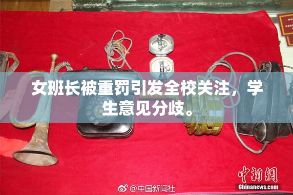 女班长被重罚引发全校关注，学生意见分歧。