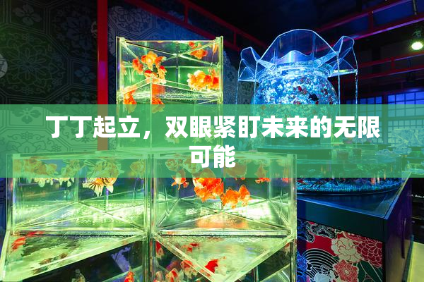丁丁起立，双眼紧盯未来的无限可能