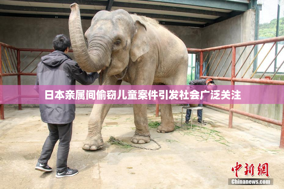 日本亲属间偷窃儿童案件引发社会广泛关注
