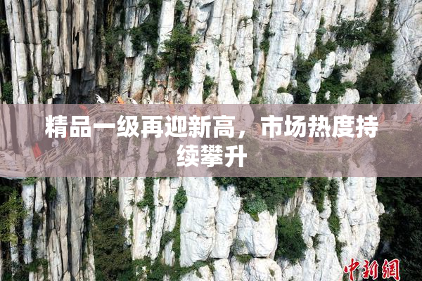 精品一级再迎新高，市场热度持续攀升