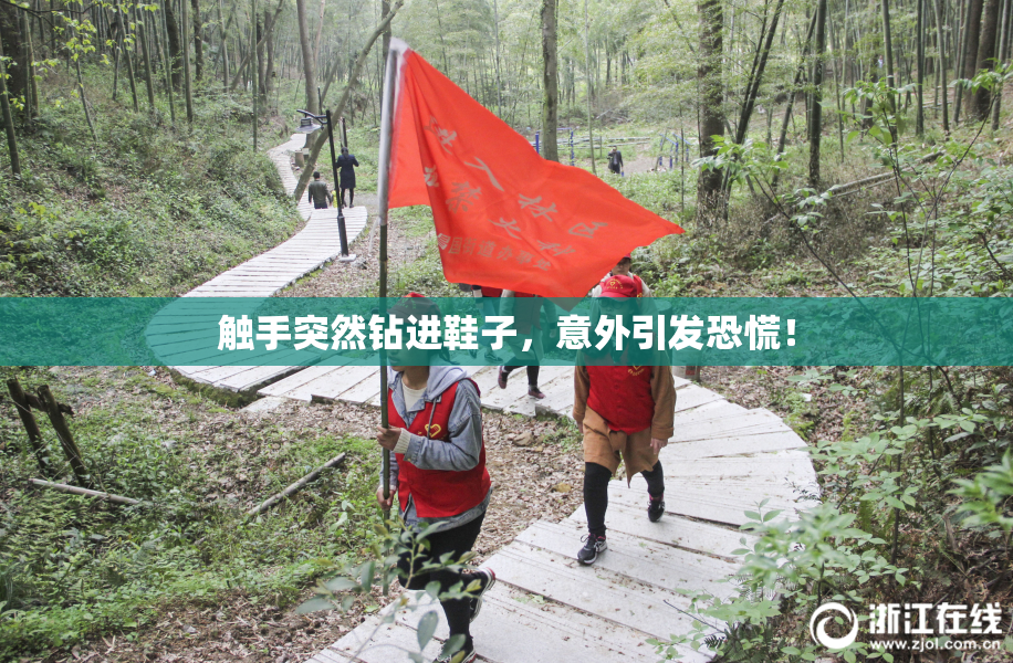 触手突然钻进鞋子，意外引发恐慌！