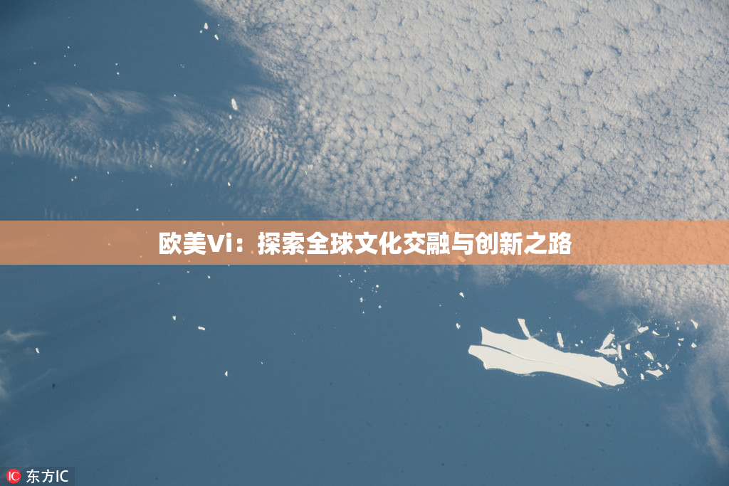 欧美Vi：探索全球文化交融与创新之路