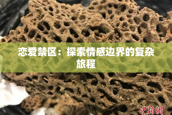 恋爱禁区：探索情感边界的复杂旅程