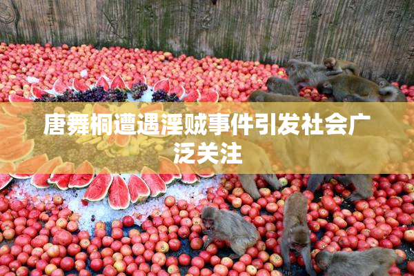 唐舞桐遭遇淫贼事件引发社会广泛关注