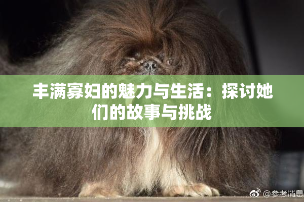 丰满寡妇的魅力与生活：探讨她们的故事与挑战