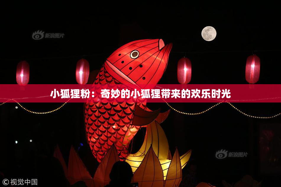小狐狸粉：奇妙的小狐狸带来的欢乐时光