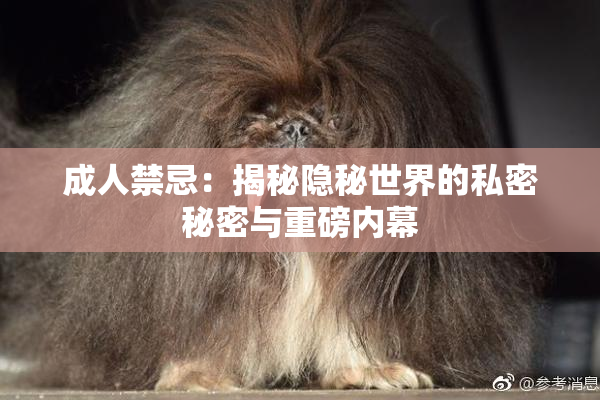 成人禁忌：揭秘隐秘世界的私密秘密与重磅内幕