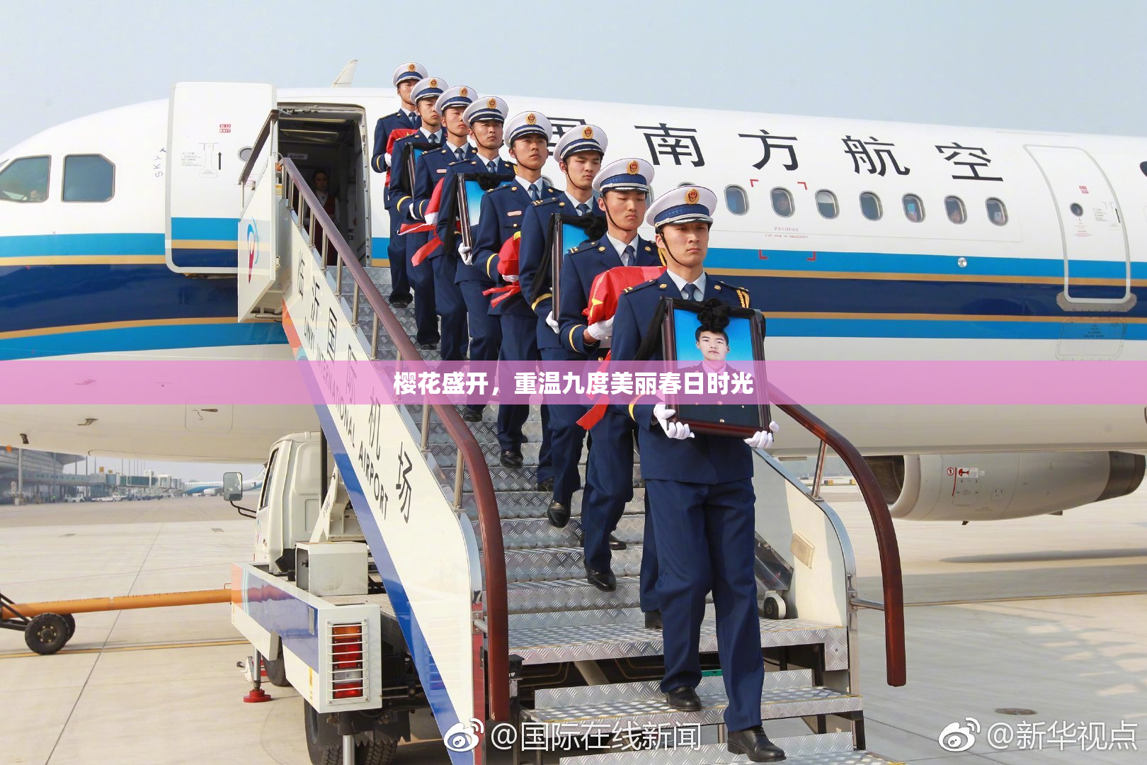 樱花盛开，重温九度美丽春日时光