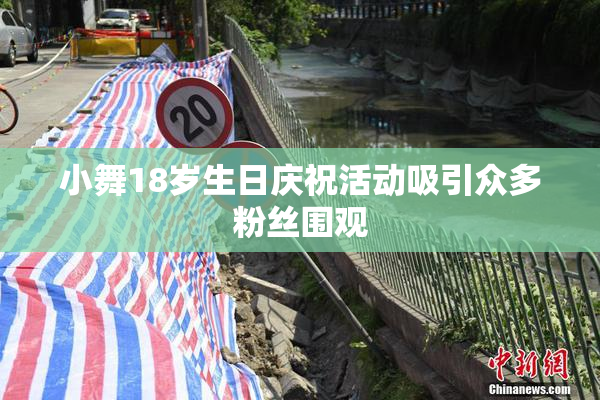 小舞18岁生日庆祝活动吸引众多粉丝围观