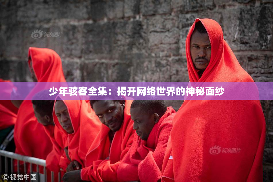 少年骇客全集：揭开网络世界的神秘面纱