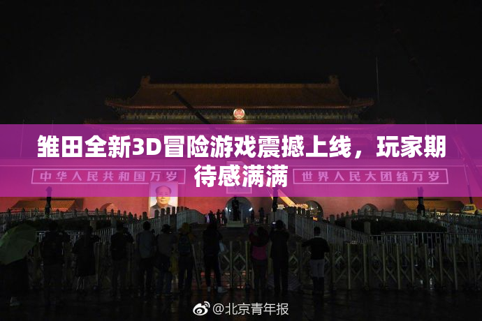 雏田全新3D冒险游戏震撼上线，玩家期待感满满