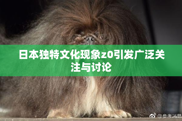 日本独特文化现象z0引发广泛关注与讨论