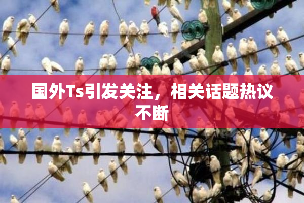 国外Ts引发关注，相关话题热议不断