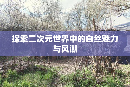 探索二次元世界中的白丝魅力与风潮