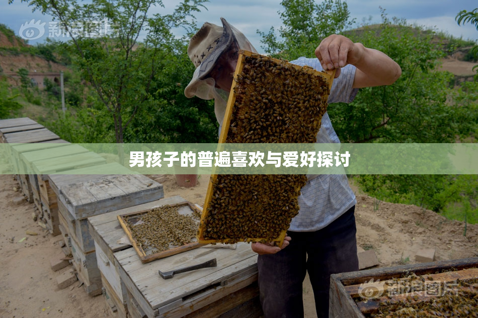 男孩子的普遍喜欢与爱好探讨