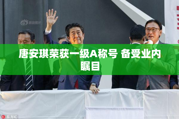 唐安琪荣获一级A称号 备受业内瞩目