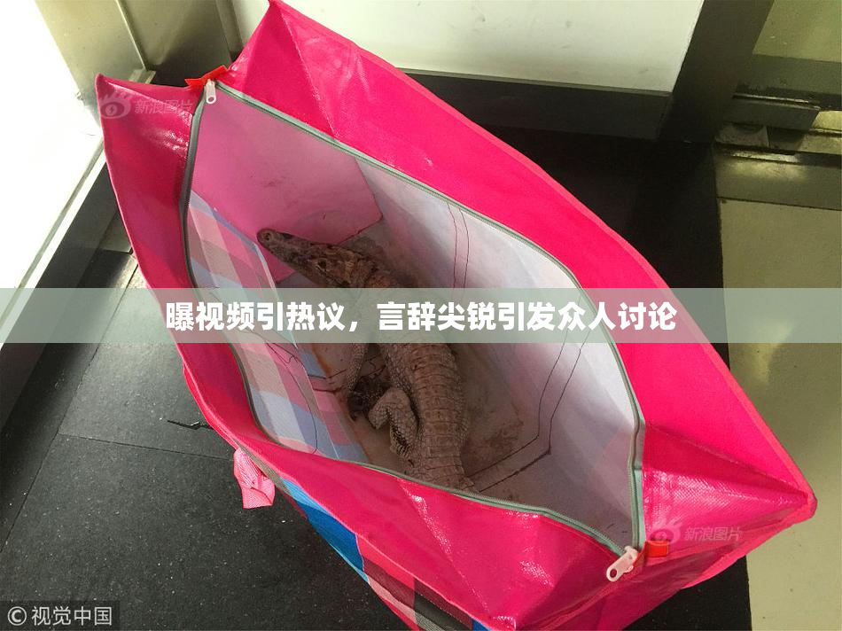曝视频引热议，言辞尖锐引发众人讨论