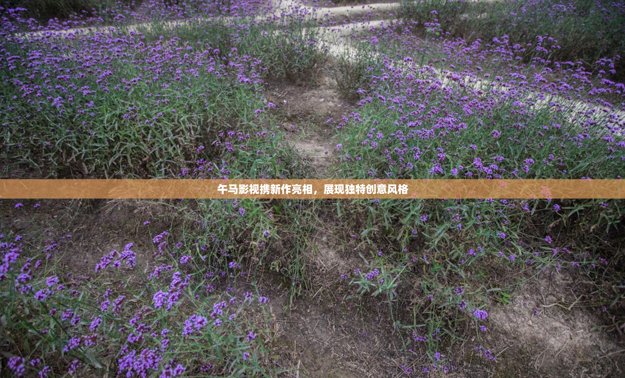 午马影视携新作亮相，展现独特创意风格