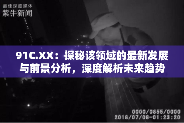 91C.XX：探秘该领域的最新发展与前景分析，深度解析未来趋势！