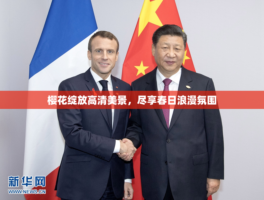 樱花绽放高清美景，尽享春日浪漫氛围