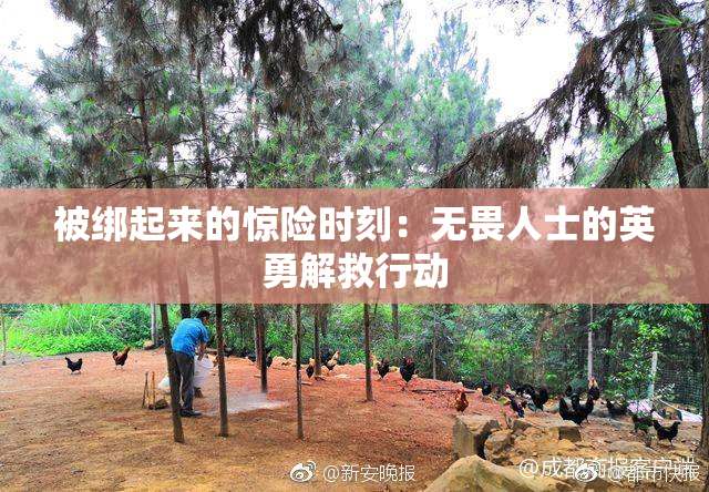 被绑起来的惊险时刻：无畏人士的英勇解救行动
