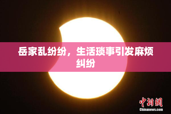 岳家乱纷纷，生活琐事引发麻烦纠纷