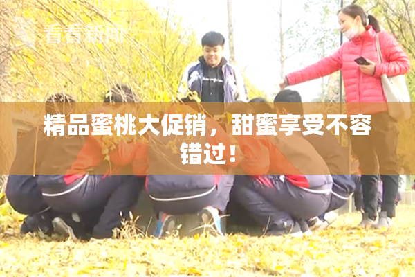 精品蜜桃大促销，甜蜜享受不容错过！