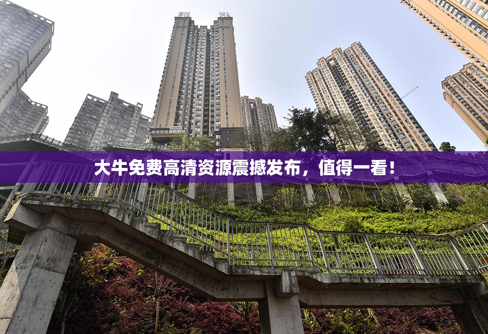 大牛免费高清资源震撼发布，值得一看！
