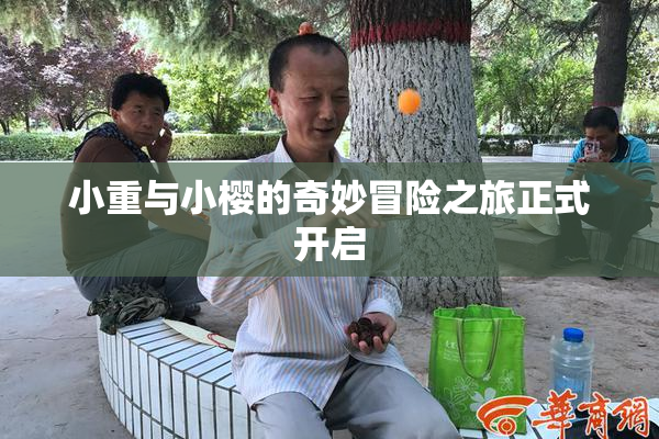 小重与小樱的奇妙冒险之旅正式开启