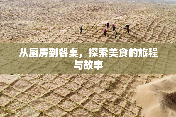 从厨房到餐桌，探索美食的旅程与故事