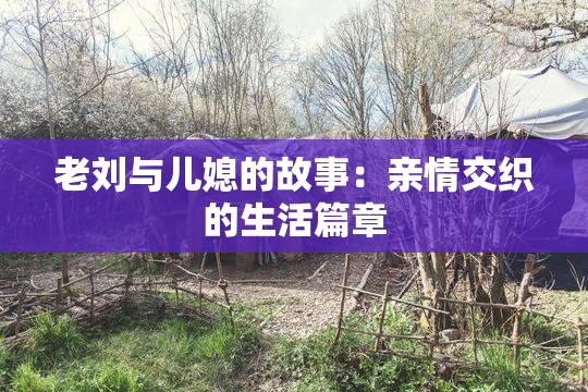 老刘与儿媳的故事：亲情交织的生活篇章