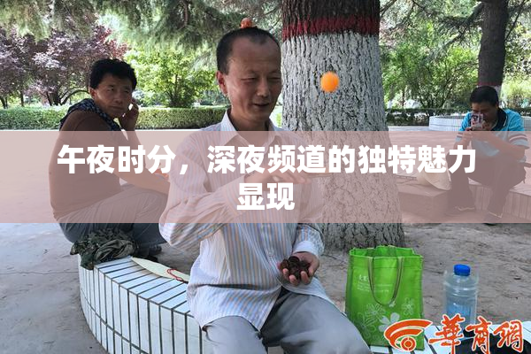 午夜时分，深夜频道的独特魅力显现