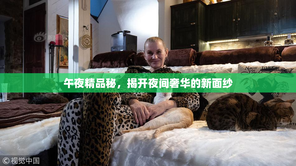 午夜精品秘，揭开夜间奢华的新面纱